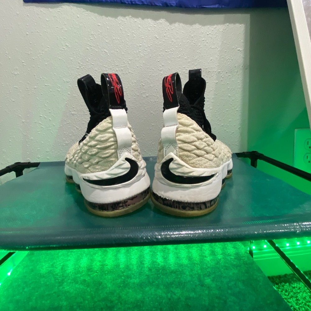 LeBron 15